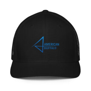 Black cap with blue geometric logo.